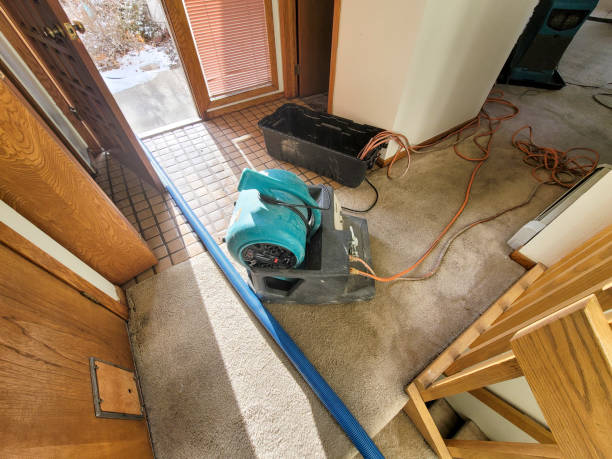Best Residential water damage restoration  in Port Orchard, WA