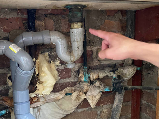 Best Professional water damage repair  in Port Orchard, WA